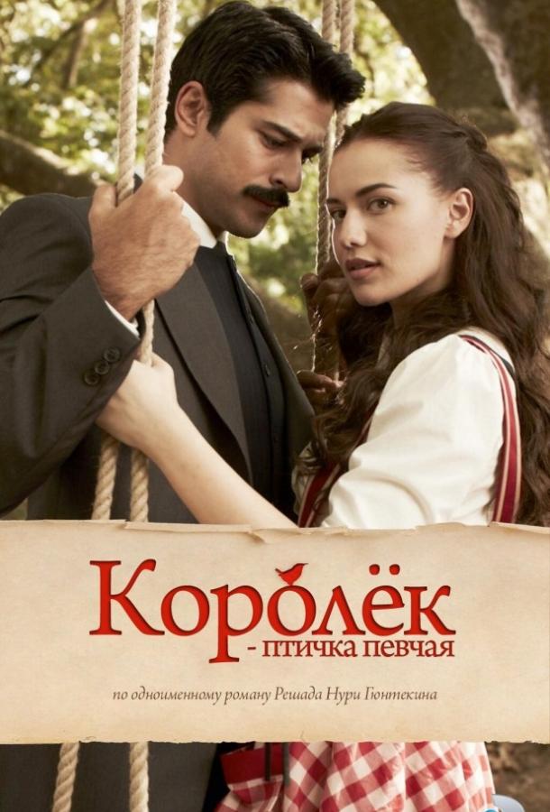  Королёк – птичка певчая 